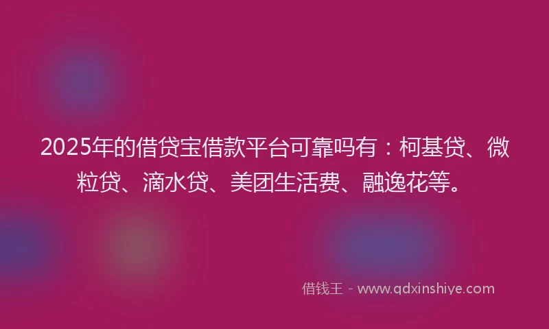 2025年的借贷宝借款平台可靠吗有：柯基贷、微粒贷、滴水贷、美团生活费、融逸花等。