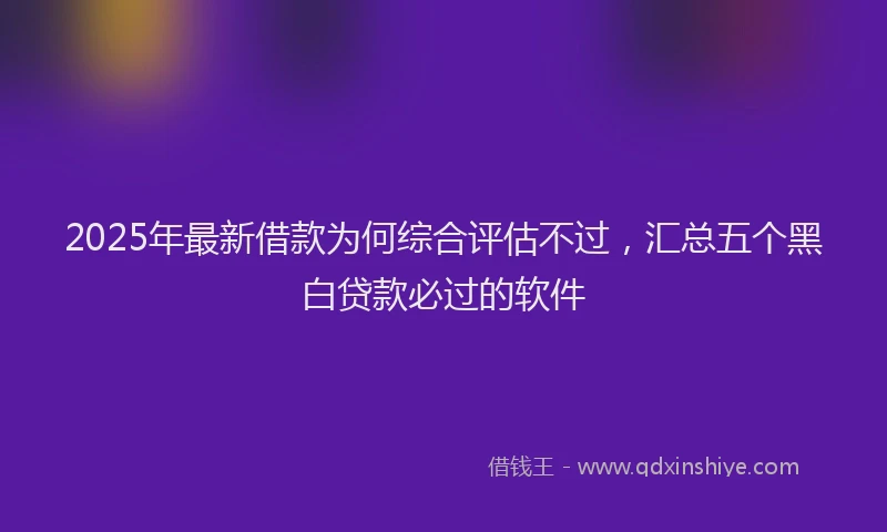 2025年最新借款为何综合评估不过，汇总五个黑白贷款必过的软件
