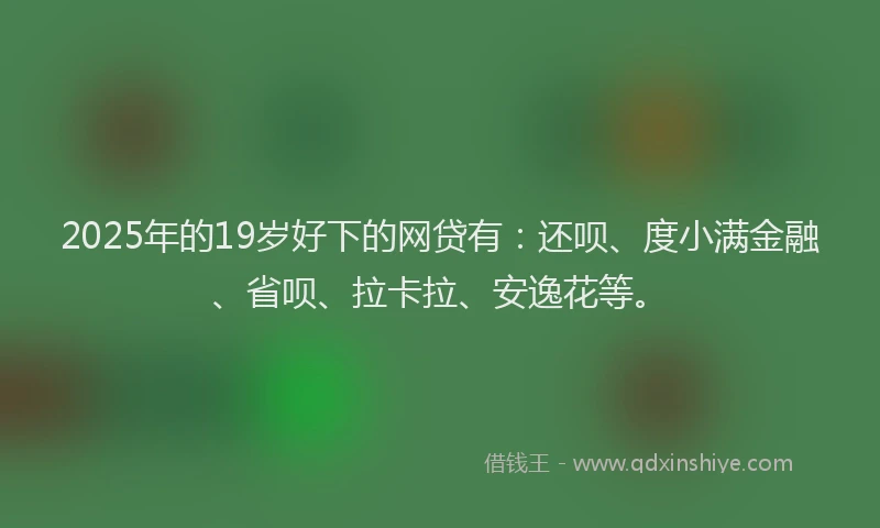2025年的19岁好下的网贷有：还呗、度小满金融、省呗、拉卡拉、安逸花等。