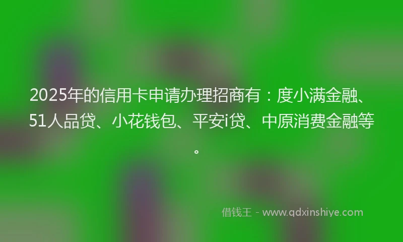 2025年的信用卡申请办理招商有：度小满金融、51人品贷、小花钱包、平安i贷、中原消费金融等。