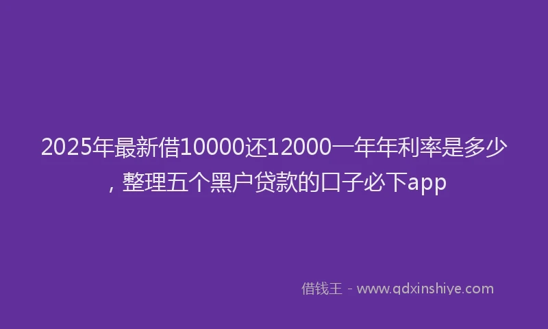 2025年最新借10000还12000一年年利率是多少，整理五个黑户贷款的口子必下app