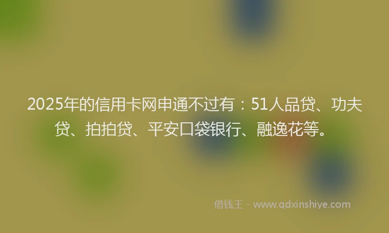 2025年的信用卡网申通不过有：51人品贷、功夫贷、拍拍贷、平安口袋银行、融逸花等。