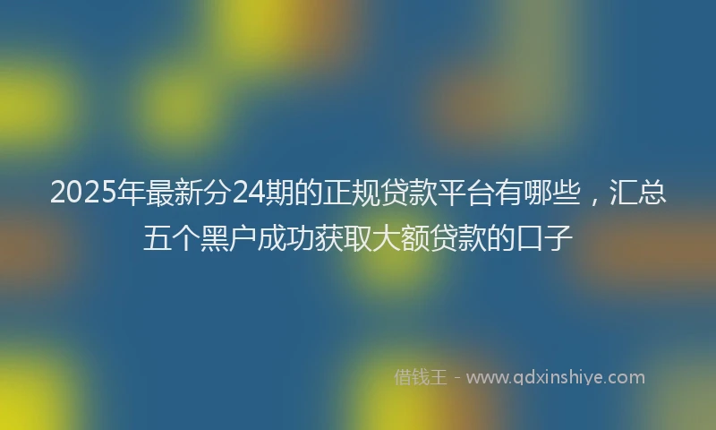 2025年最新分24期的正规贷款平台有哪些，汇总五个黑户成功获取大额贷款的口子