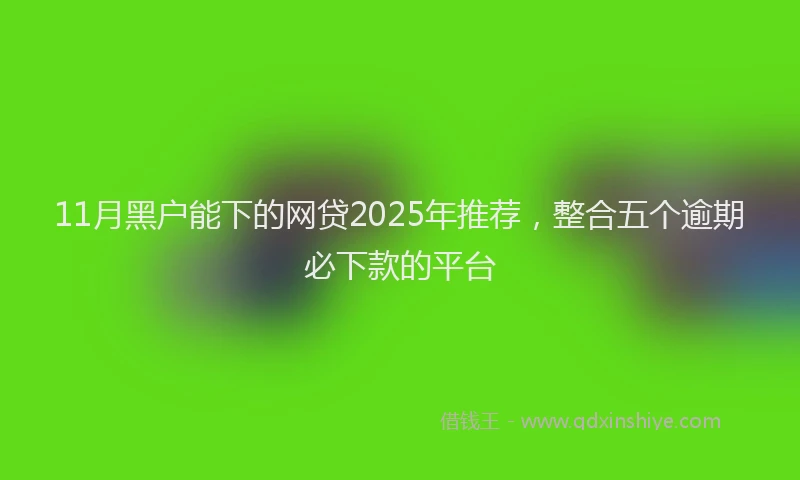 11月黑户能下的网贷2025年推荐，整合五个逾期必下款的平台