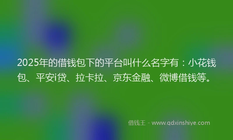 2025年的借钱包下的平台叫什么名字有：小花钱包、平安i贷、拉卡拉、京东金融、微博借钱等。