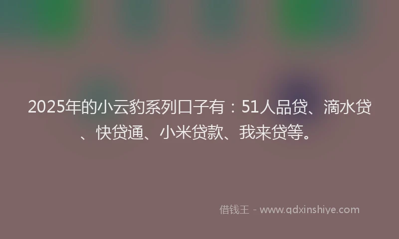 2025年的小云豹系列口子有：51人品贷、滴水贷、快贷通、小米贷款、我来贷等。