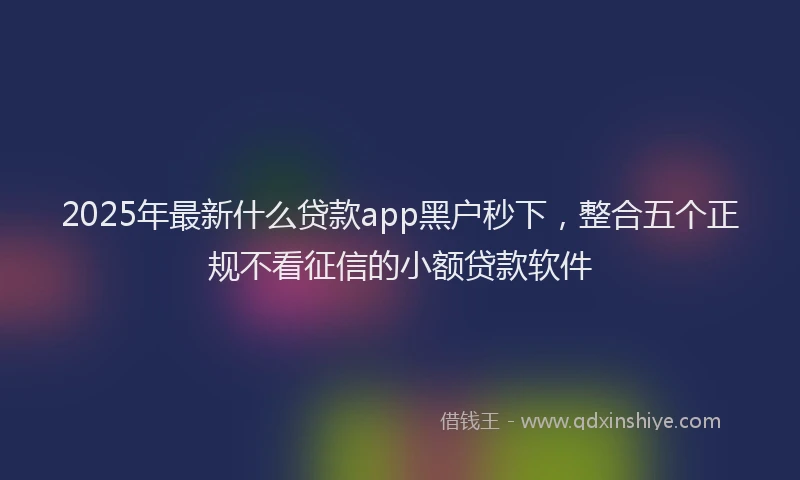 2025年最新什么贷款app黑户秒下，整合五个正规不看征信的小额贷款软件
