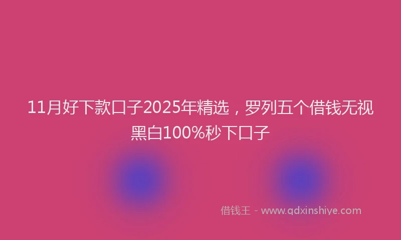 11月好下款口子2025年精选，罗列五个借钱无视黑白100%秒下口子