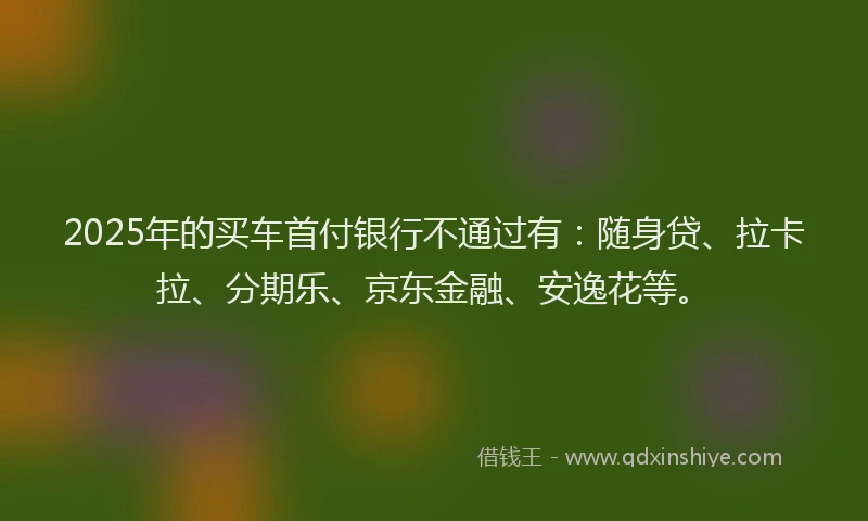 2025年的买车首付银行不通过有：随身贷、拉卡拉、分期乐、京东金融、安逸花等。