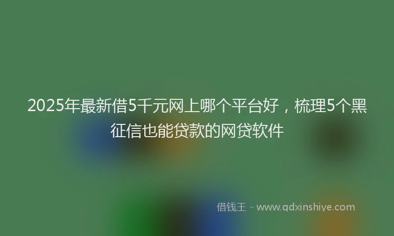 2025年最新借5千元网上哪个平台好，梳理5个黑征信也能贷款的网贷软件