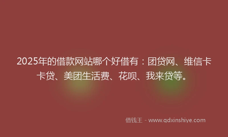 2025年的借款网站哪个好借有：团贷网、维信卡卡贷、美团生活费、花呗、我来贷等。