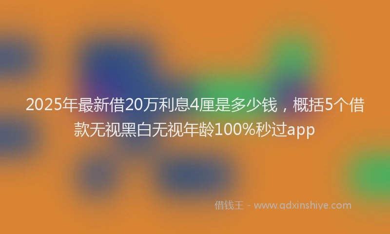 2025年最新借20万利息4厘是多少钱，概括5个借款无视黑白无视年龄100%秒过app