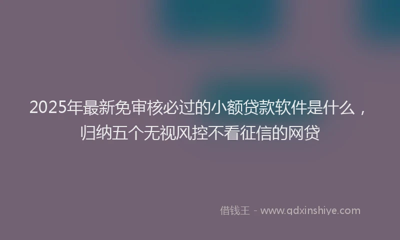 2025年最新免审核必过的小额贷款软件是什么，归纳五个无视风控不看征信的网贷