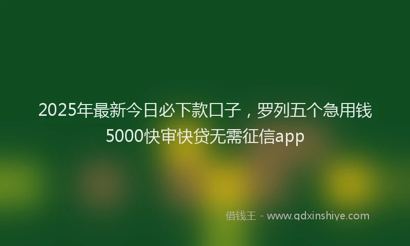 2025年最新今日必下款口子，罗列五个急用钱5000快审快贷无需征信app