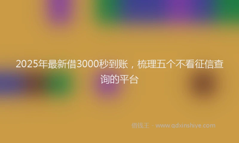 2025年最新借3000秒到账，梳理五个不看征信查询的平台