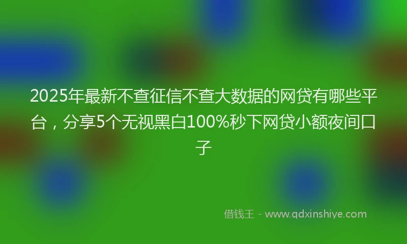 2025年最新不查征信不查大数据的网贷有哪些平台，分享5个无视黑白100%秒下网贷小额夜间口子