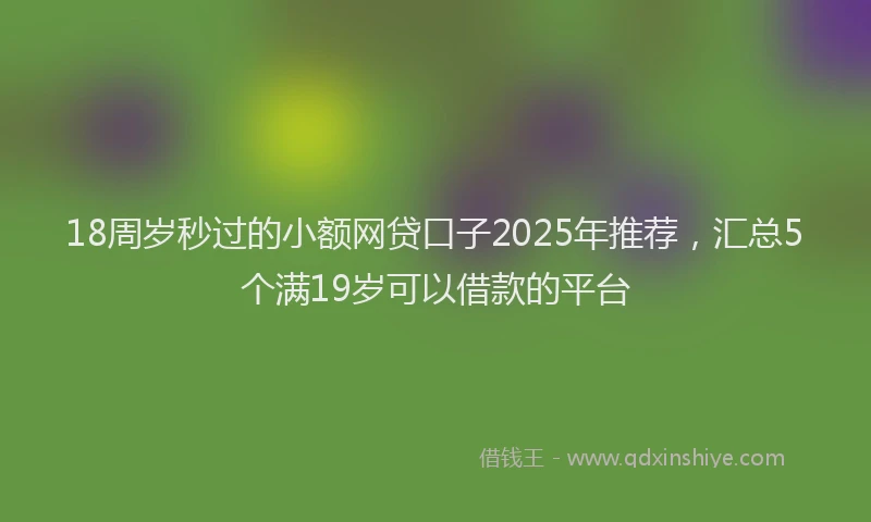 18周岁秒过的小额网贷口子2025年推荐，汇总5个满19岁可以借款的平台