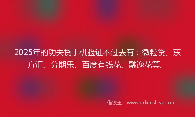 2025年的功夫贷手机验证不过去有：微粒贷、东方汇、分期乐、百度有钱花、融逸花等。