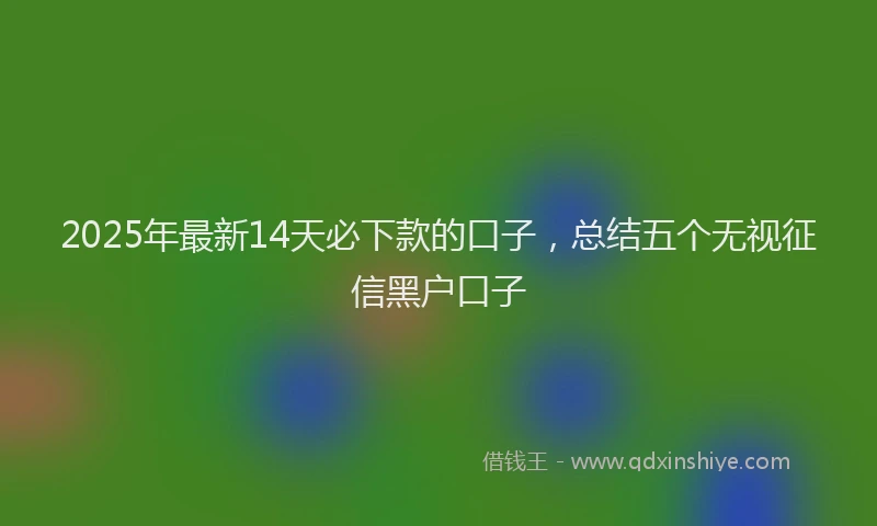 2025年最新14天必下款的口子，总结五个无视征信黑户口子