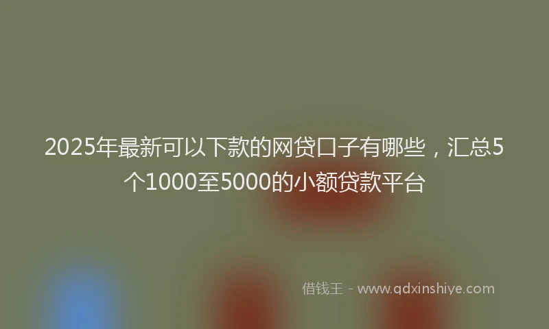 2025年最新可以下款的网贷口子有哪些，汇总5个1000至5000的小额贷款平台