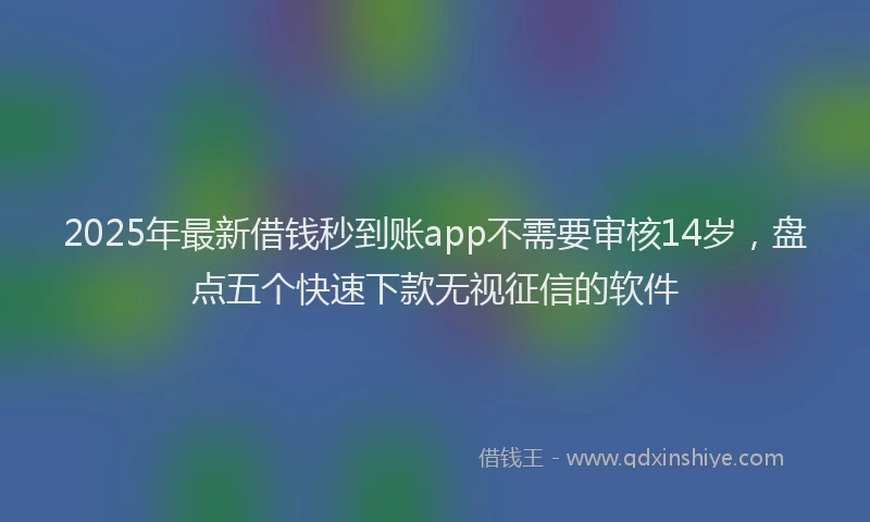 2025年最新借钱秒到账app不需要审核14岁，盘点五个快速下款无视征信的软件