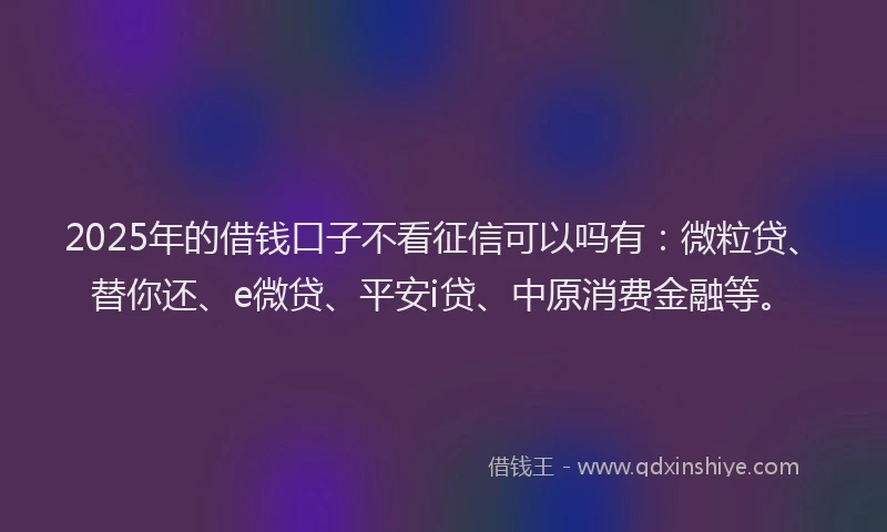 2025年的借钱口子不看征信可以吗有：微粒贷、替你还、e微贷、平安i贷、中原消费金融等。