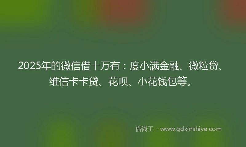 2025年的微信借十万有：度小满金融、微粒贷、维信卡卡贷、花呗、小花钱包等。