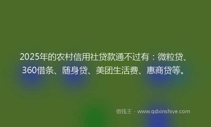 2025年的农村信用社贷款通不过有：微粒贷、360借条、随身贷、美团生活费、惠商贷等。
