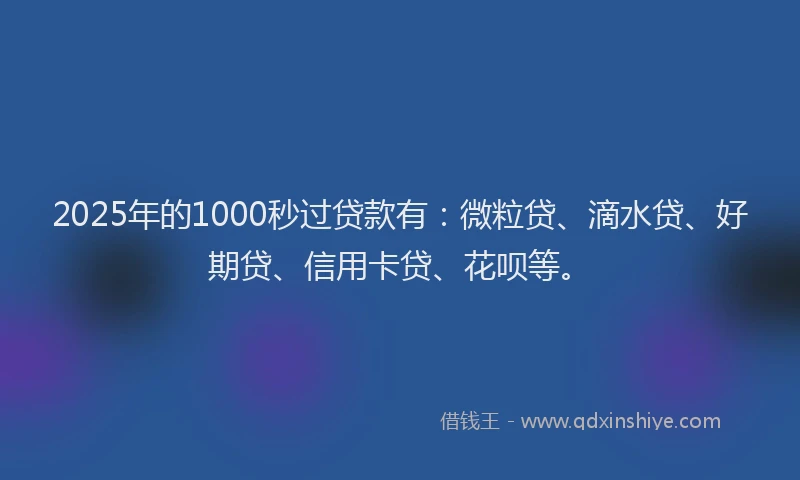 2025年的1000秒过贷款有：微粒贷、滴水贷、好期贷、信用卡贷、花呗等。