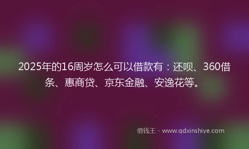 2025年的16周岁怎么可以借款有：还呗、360借条、惠商贷、京东金融、安逸花等。