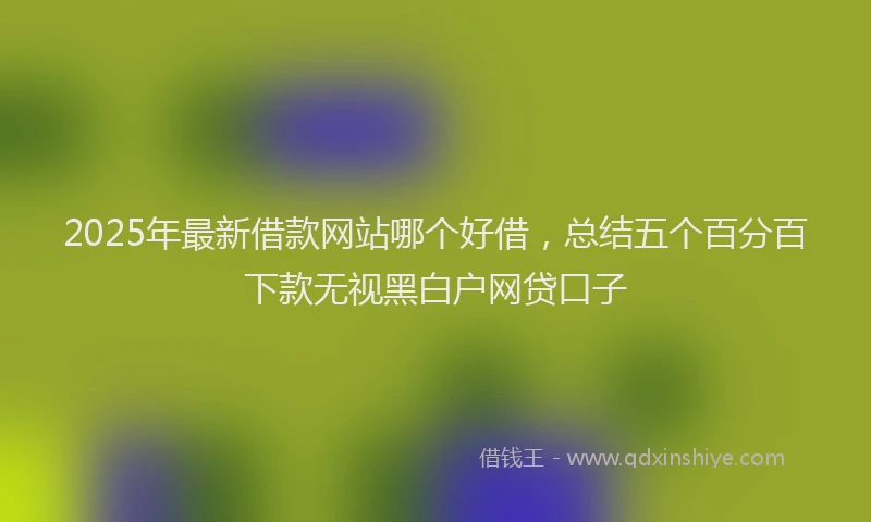 2025年最新借款网站哪个好借，总结五个百分百下款无视黑白户网贷口子