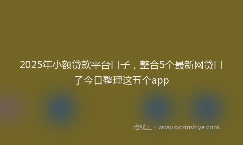 2025年小额贷款平台口子，整合5个最新网贷口子今日整理这五个app