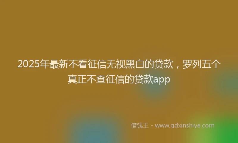 2025年最新不看征信无视黑白的贷款，罗列五个真正不查征信的贷款app