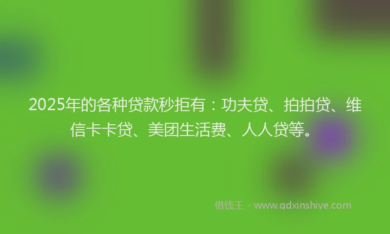 2025年的各种贷款秒拒有：功夫贷、拍拍贷、维信卡卡贷、美团生活费、人人贷等。