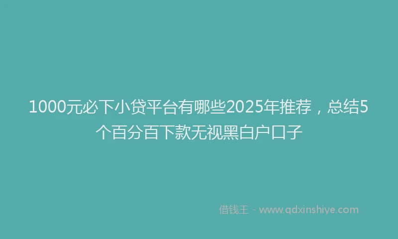 1000元必下小贷平台有哪些2025年推荐，总结5个百分百下款无视黑白户口子
