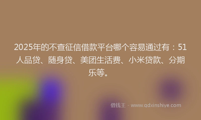 2025年的不查征信借款平台哪个容易通过有：51人品贷、随身贷、美团生活费、小米贷款、分期乐等。
