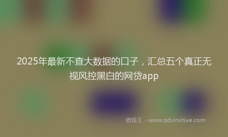 2025年最新不查大数据的口子，汇总五个真正无视风控黑白的网贷app