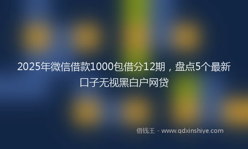 2025年微信借款1000包借分12期，盘点5个最新口子无视黑白户网贷