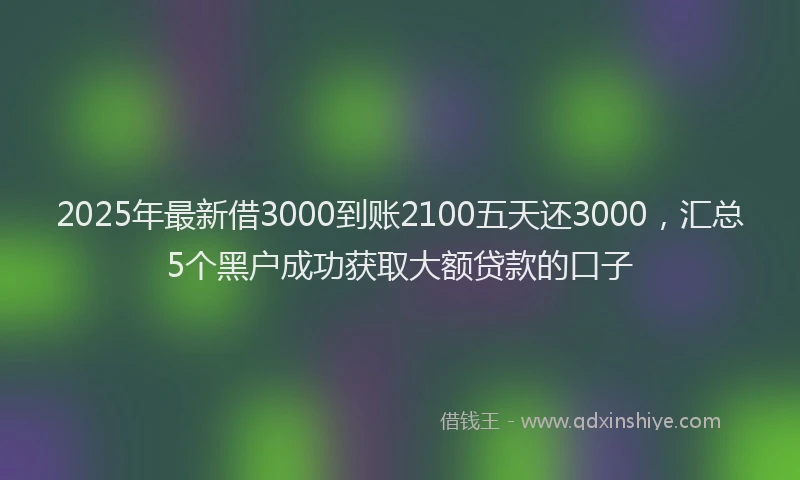 2025年最新借3000到账2100五天还3000，汇总5个黑户成功获取大额贷款的口子