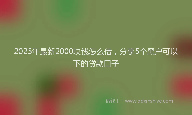 2025年最新2000块钱怎么借，分享5个黑户可以下的贷款口子