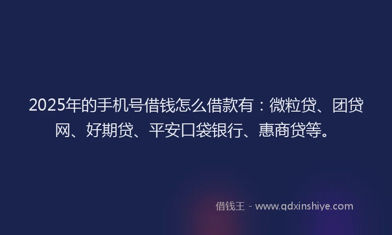 2025年的手机号借钱怎么借款有：微粒贷、团贷网、好期贷、平安口袋银行、惠商贷等。