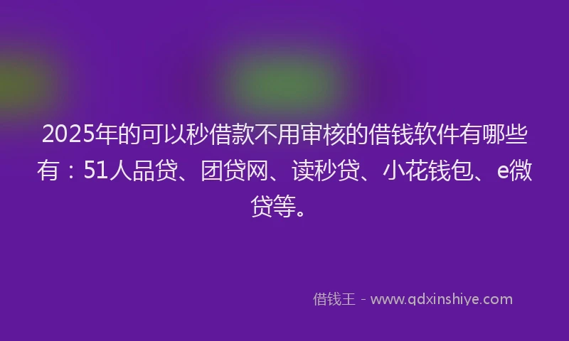 2025年的可以秒借款不用审核的借钱软件有哪些有：51人品贷、团贷网、读秒贷、小花钱包、e微贷等。