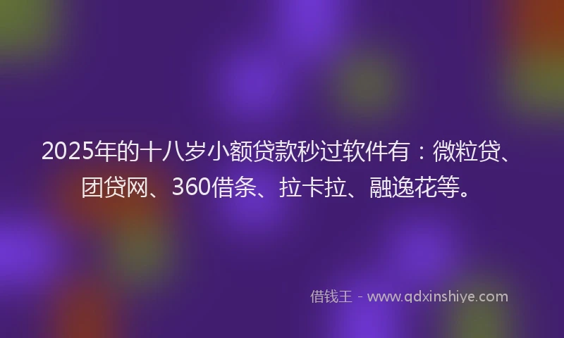 2025年的十八岁小额贷款秒过软件有：微粒贷、团贷网、360借条、拉卡拉、融逸花等。