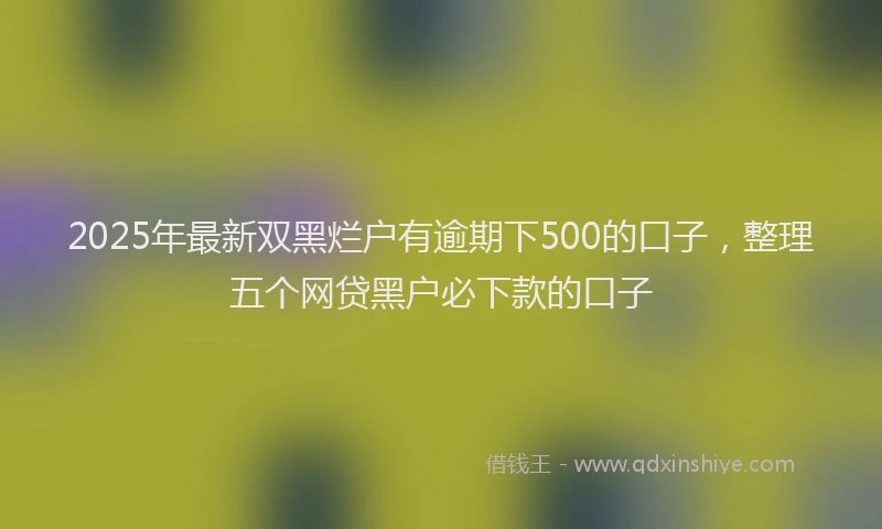2025年最新双黑烂户有逾期下500的口子，整理五个网贷黑户必下款的口子