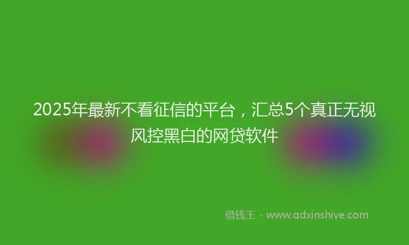 2025年最新不看征信的平台，汇总5个真正无视风控黑白的网贷软件