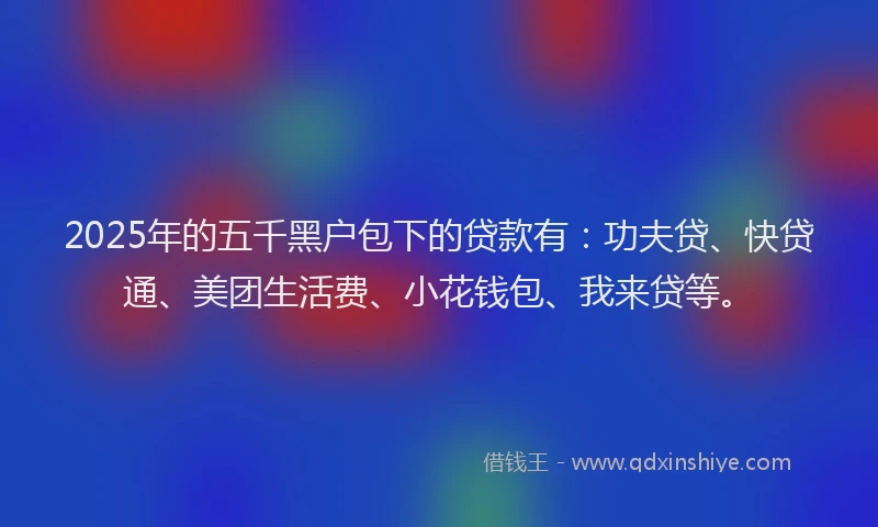 2025年的五千黑户包下的贷款有：功夫贷、快贷通、美团生活费、小花钱包、我来贷等。