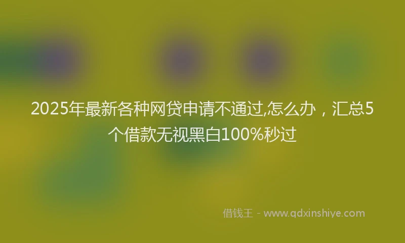 2025年最新各种网贷申请不通过,怎么办，汇总5个借款无视黑白100%秒过