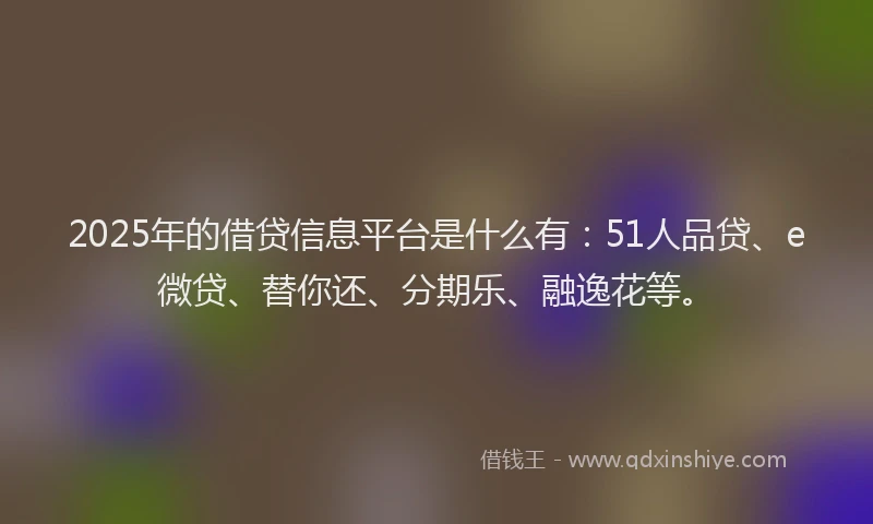 2025年的借贷信息平台是什么有：51人品贷、e微贷、替你还、分期乐、融逸花等。