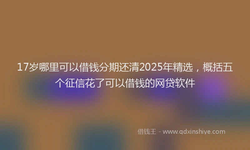17岁哪里可以借钱分期还清2025年精选，概括五个征信花了可以借钱的网贷软件
