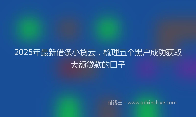 2025年最新借条小贷云，梳理五个黑户成功获取大额贷款的口子